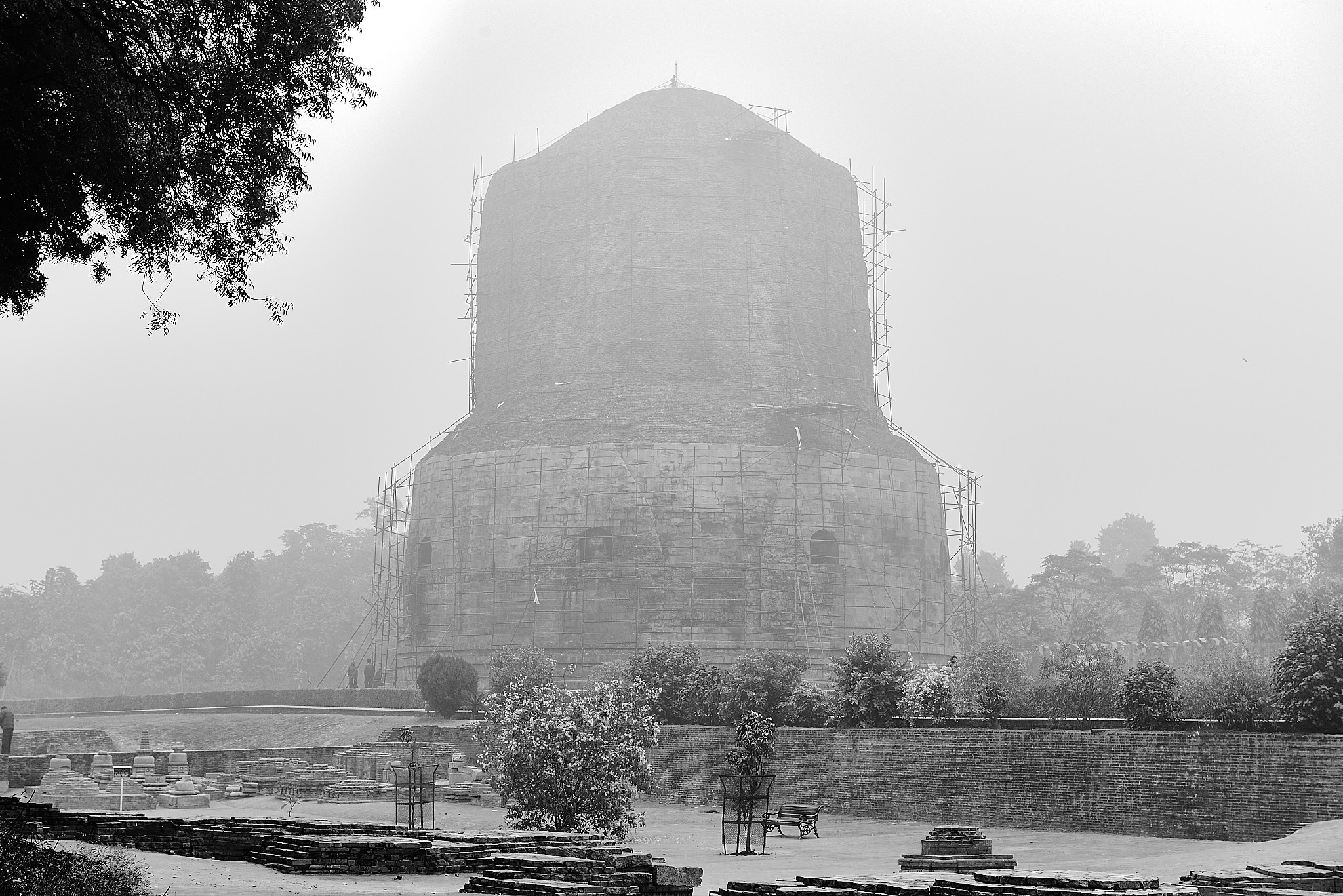 20140109 731 사르나트 다메크 스투파